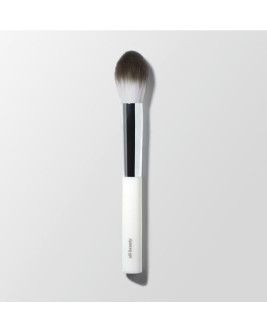 ALL-BEAUTY brush for powder, highlighter, eye shadow & blush: Ere Perez